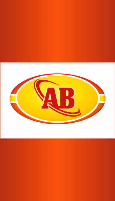 green orange and brown illustrated india republic day instagram post (1)